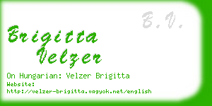 brigitta velzer business card
